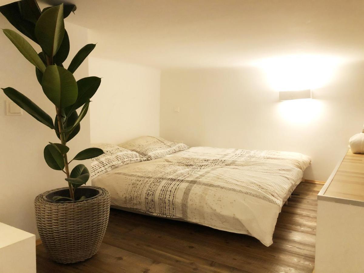 Stylish Loft Center Apartament Viena